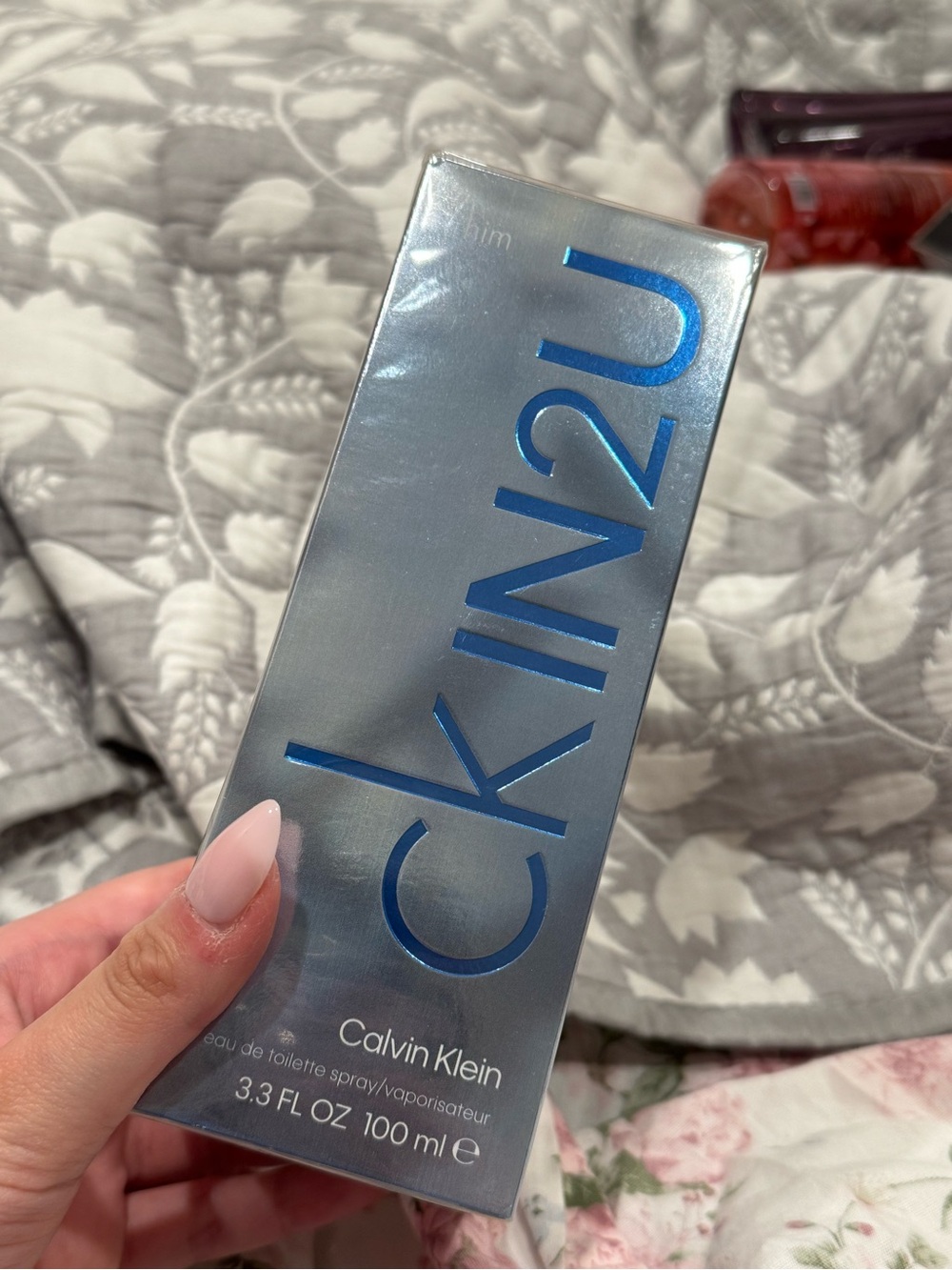 Calvin Klein CK IN2U Eau de Toilette - Silver and Blue
